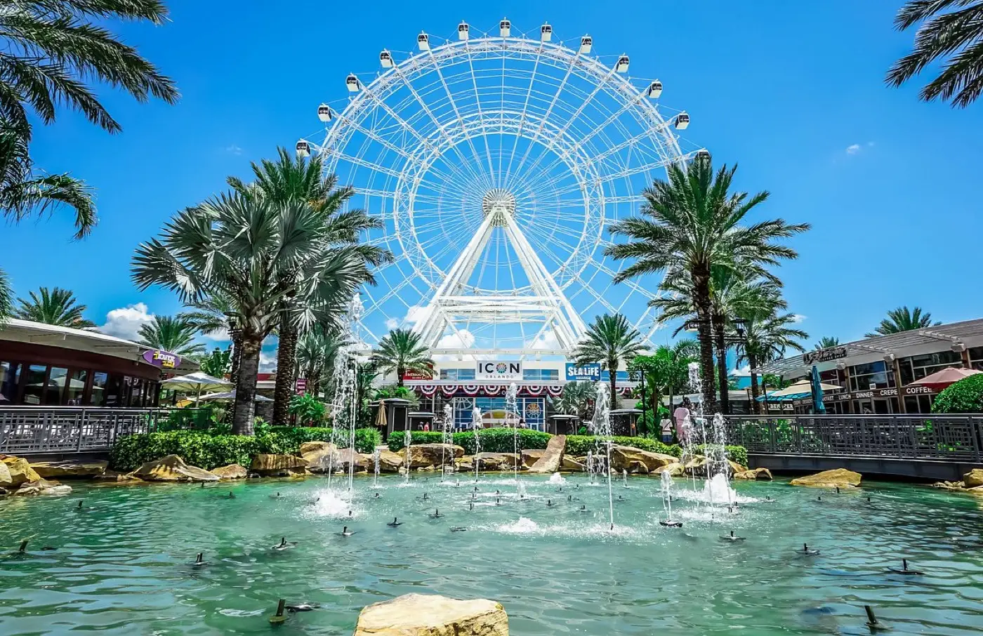 Día libre en Orlando