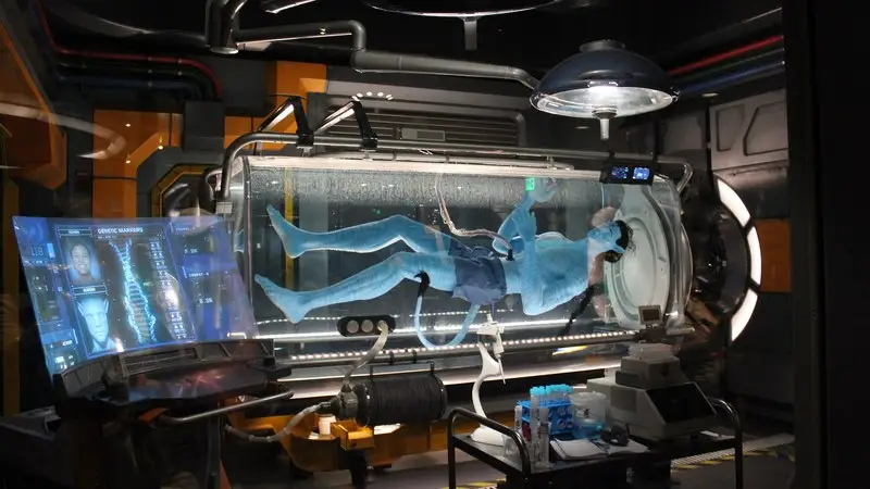 Avatar Flight of Passage